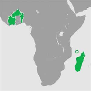 Zones d'intervention en Afrique