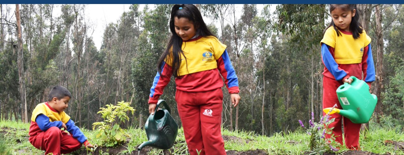 Trois enfants bénéficiaires d'Equateur dans le jardin potager de l'école.